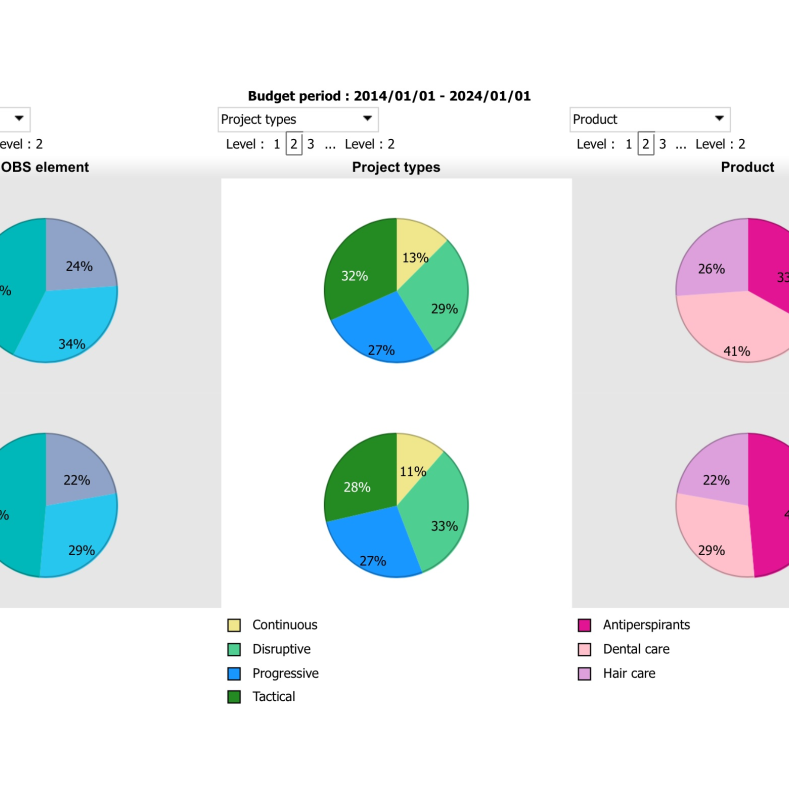 Project Selection & Portfolio Optimization