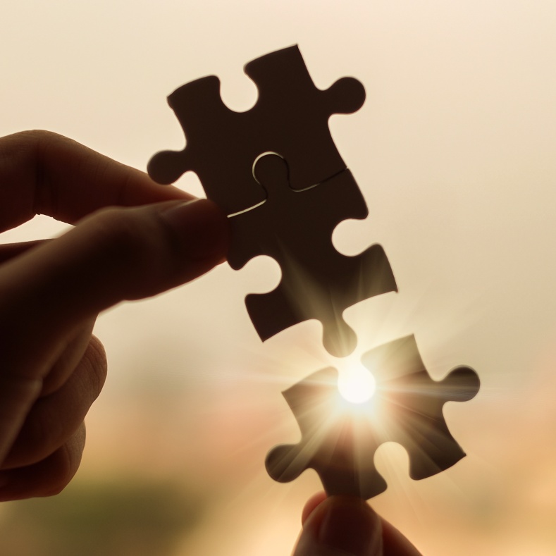 puzzle pieces 